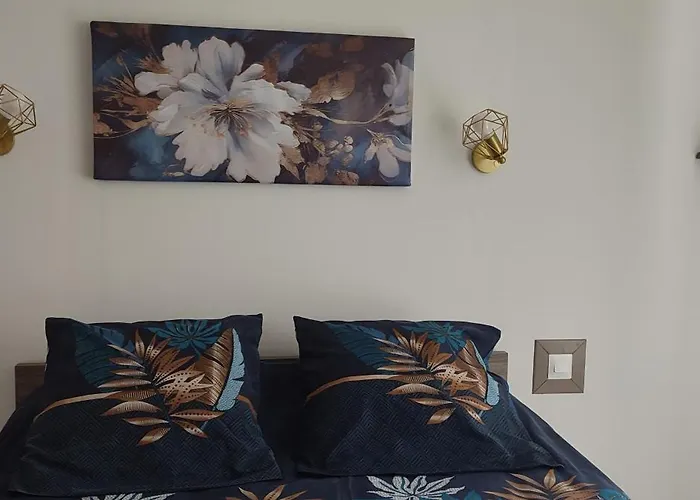 Maison T2 Avec Petit Jardin Dans Impasse Calme